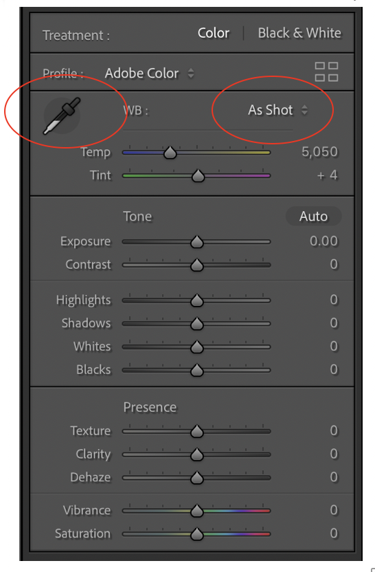 White Balance and Exposure Settings in Lightroom
