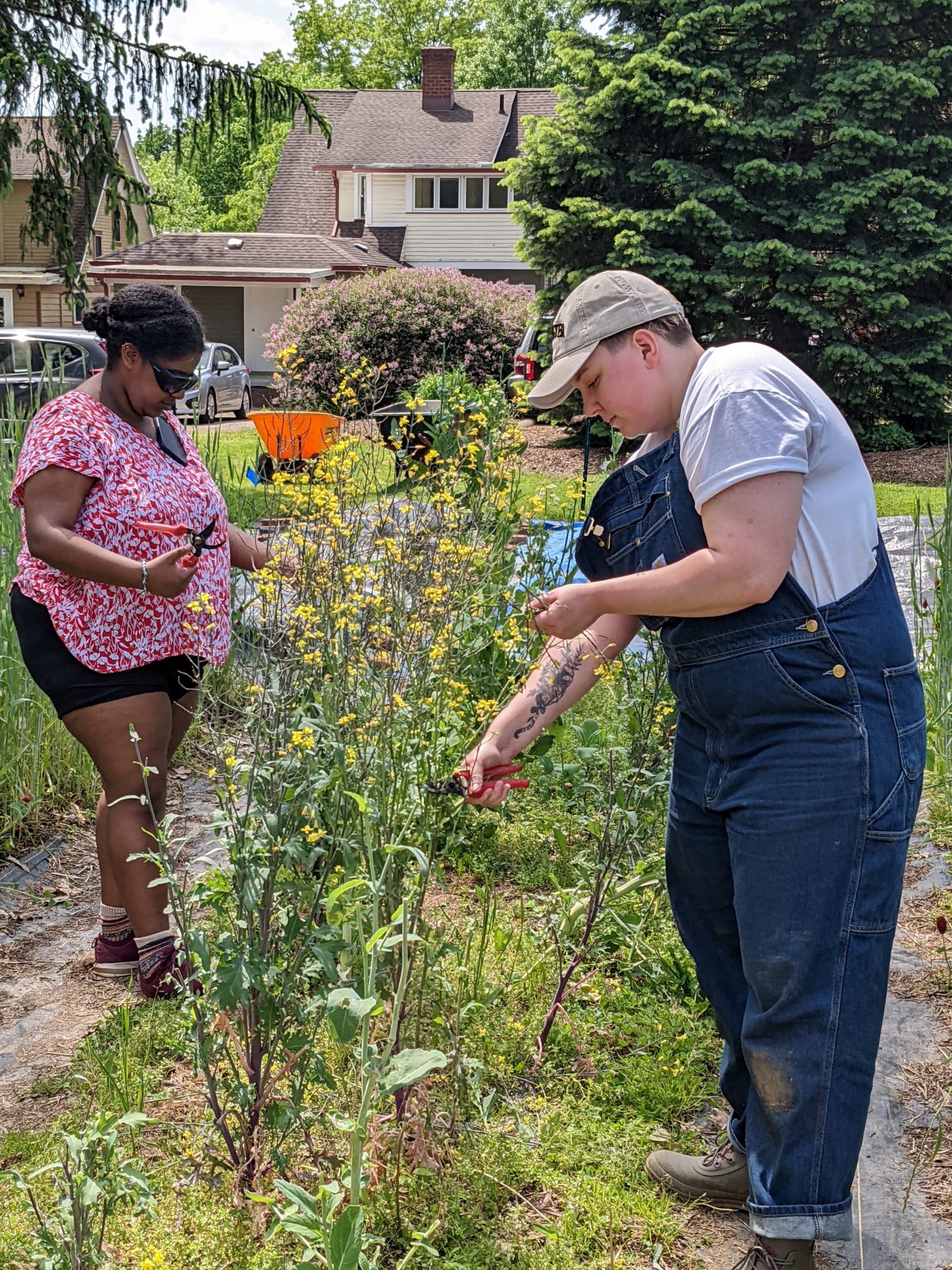 Learning Garden Environmental Studies Program