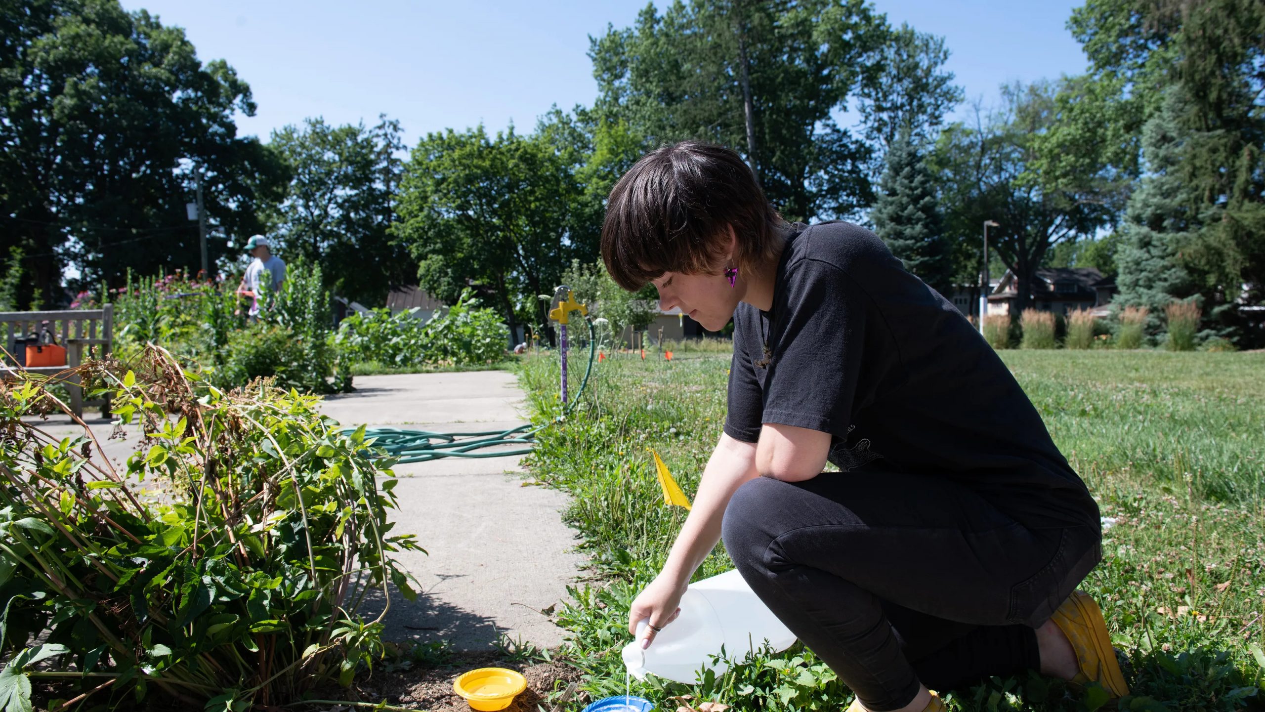 The College of Wooster campus and sustainability