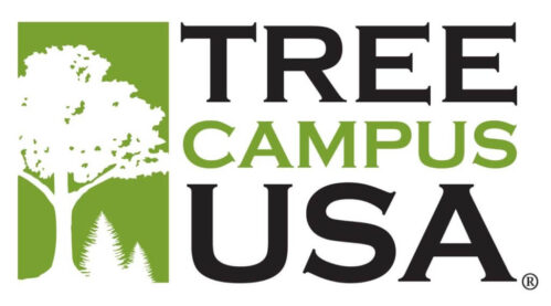 Tree Campus USA logo