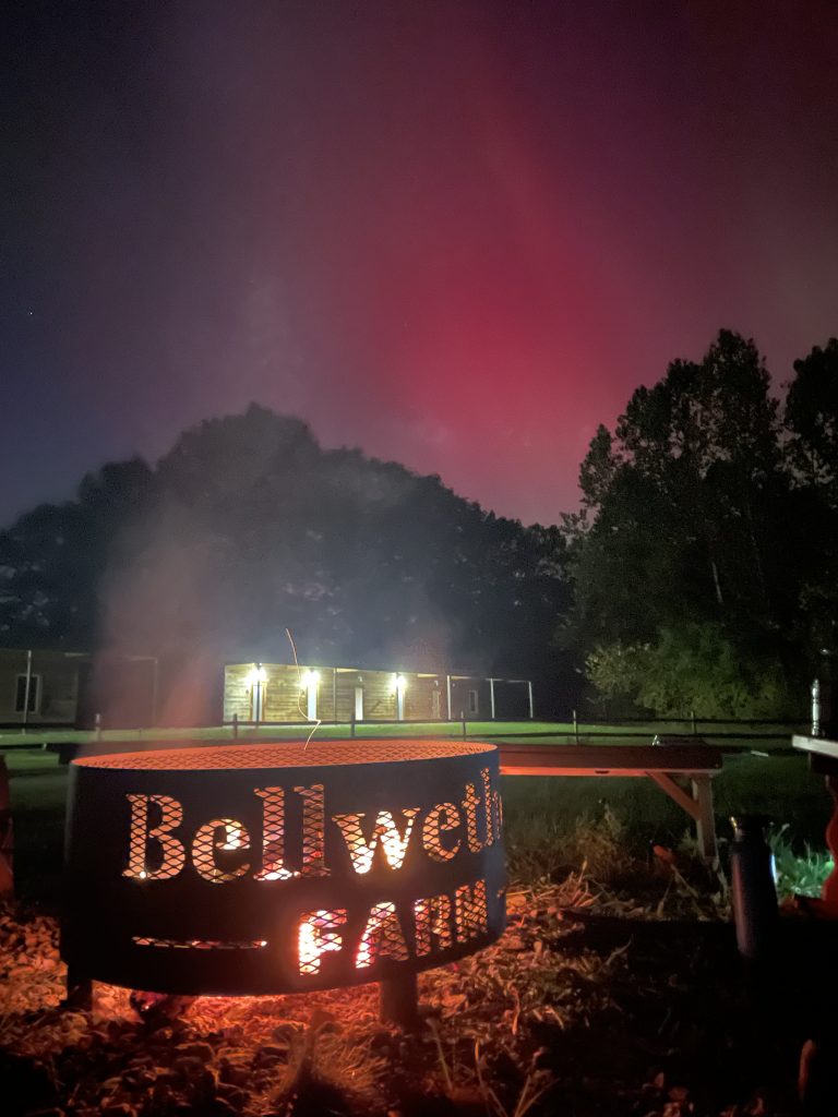 Northern Lights behind campfire at Bellwether Farm