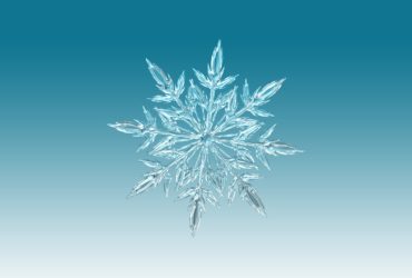Winter Workshops for Staff & Faculty