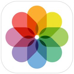  apple's photo icon