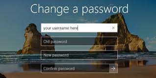 Image of the information required when changing your password this way