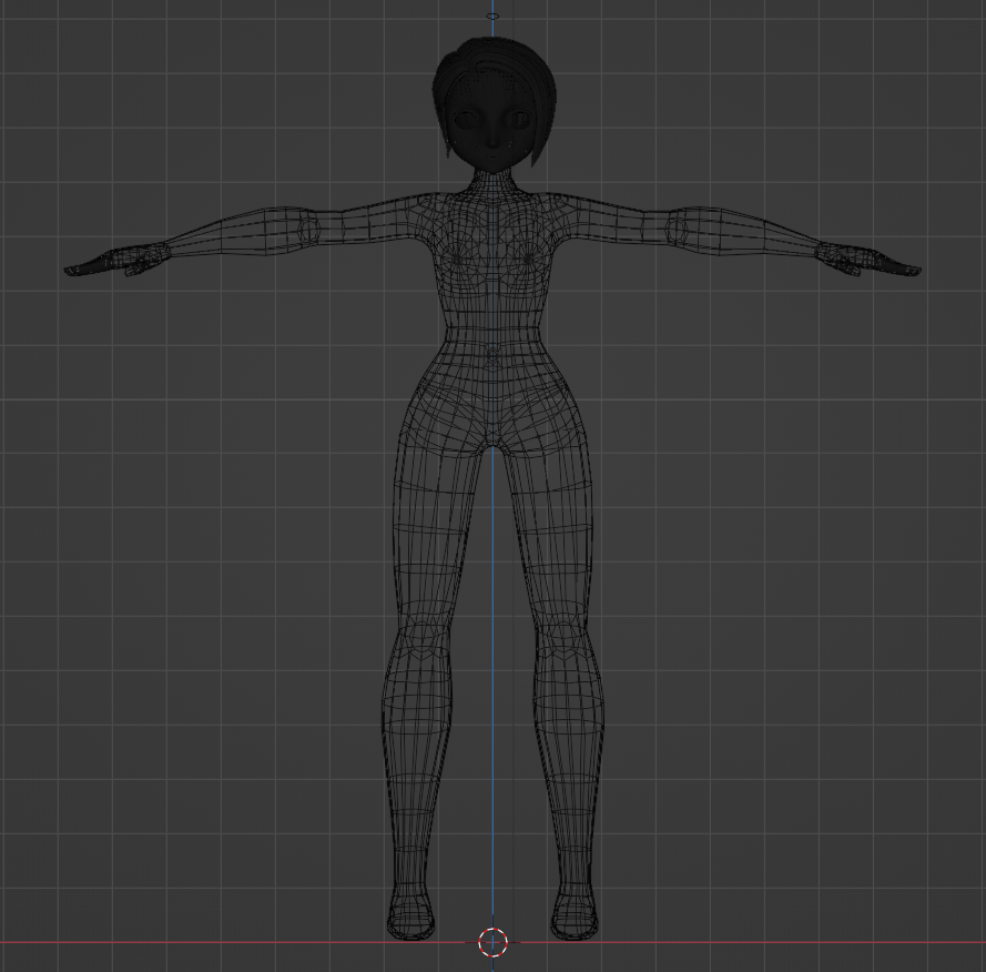 A figure of a model in wireframe