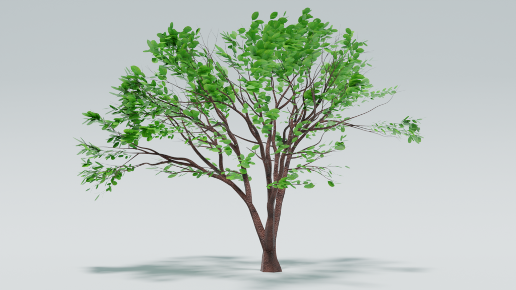 Tree model