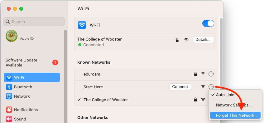 screeshot of Mac System Settings with WiFi settings and Forget This Network highlighted