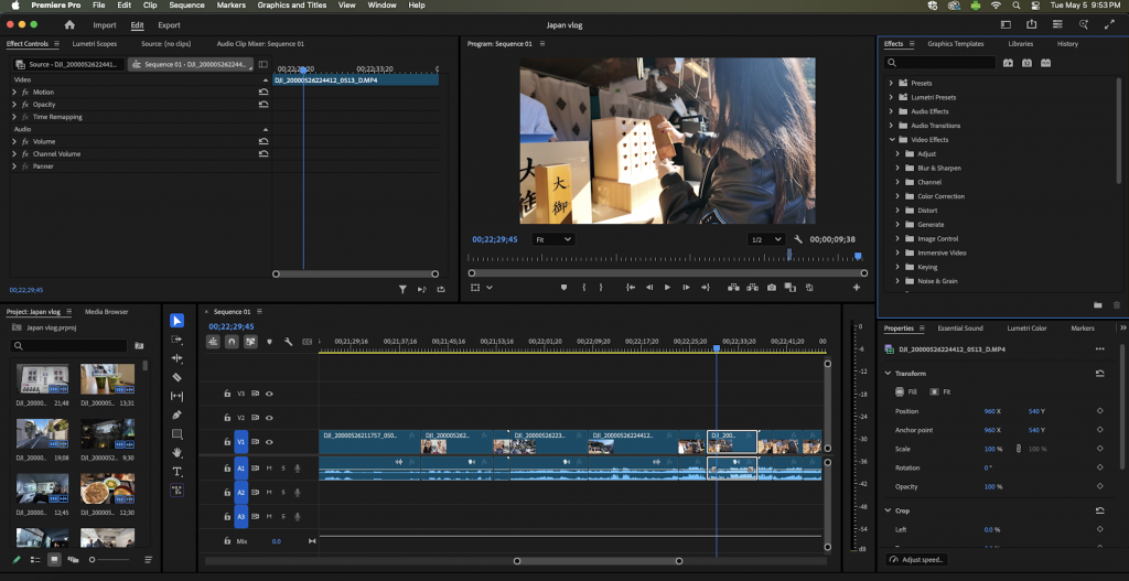 Premiere Pro Japan vlog editing progress