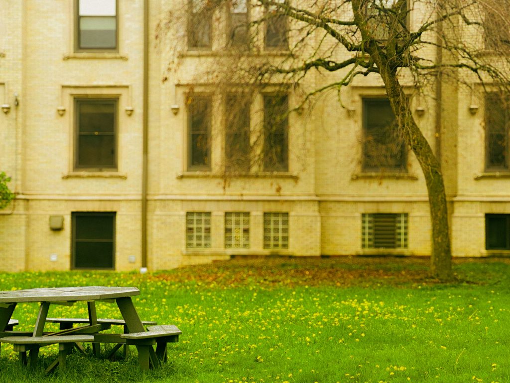 Yellow and ethereal daytime picture of a field with a bench and tree with lens blur to bring out the bench.